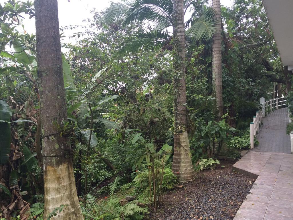 Hotel Pousada Reimar Balneário Camboriú Buitenkant foto